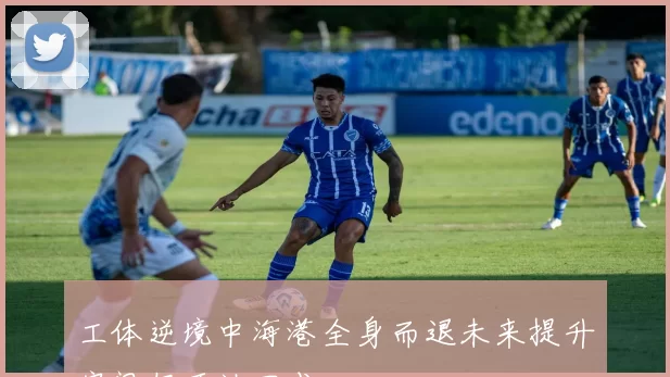 工体逆境中海港全身而退未来提升空间仍可达四成